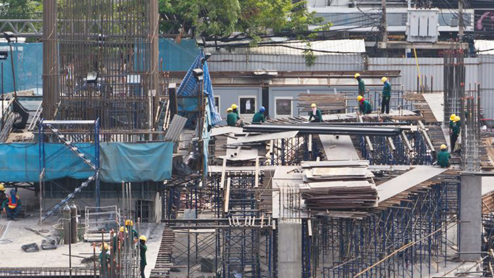 建築工地成蟲防制案例